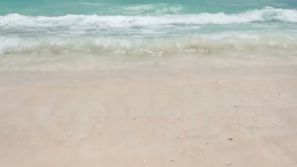 Seychelles beach — Stock Video