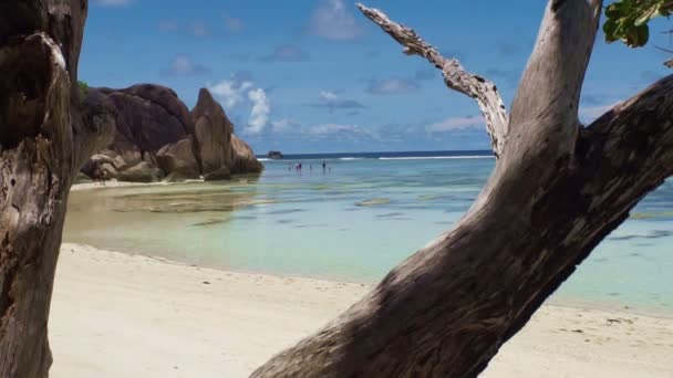 Seychellen strand — Stockvideo