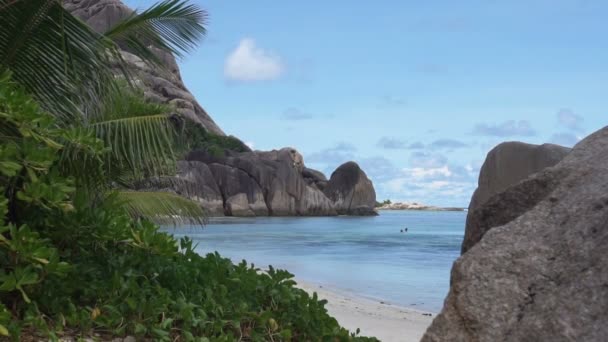 Spiaggia delle Seychelles — Video Stock