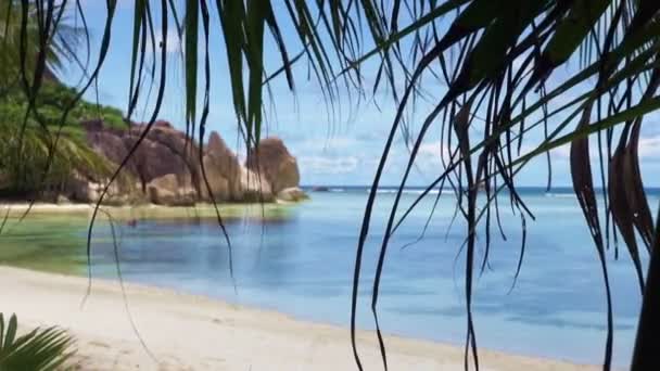塞舌尔海滩 — 图库视频影像