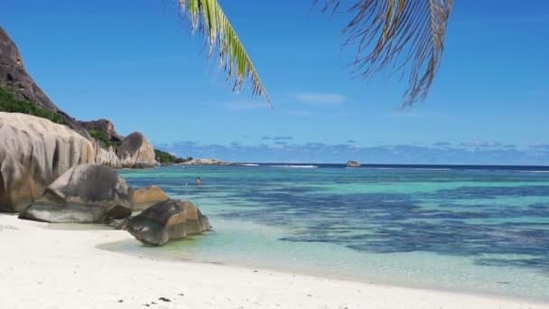 Пляж Сейшельські острови — стокове відео