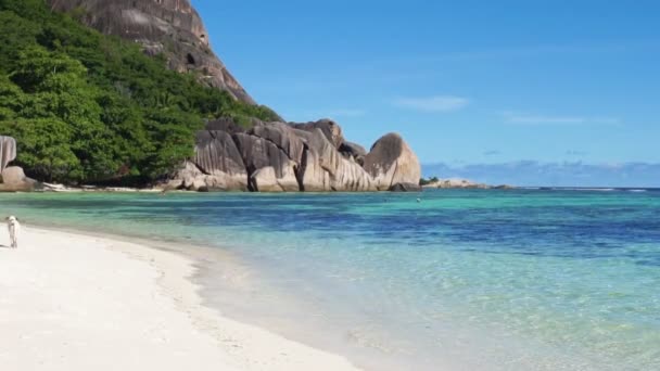 Praia das Seychelles — Vídeo de Stock