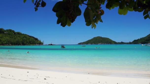 Seychellen strand — Stockvideo