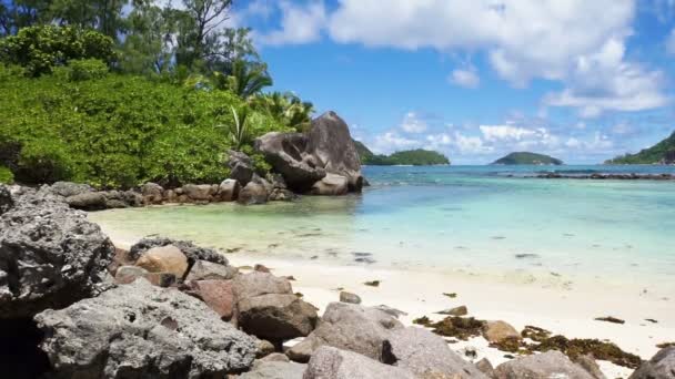 Natuurlijke kust van de Seychellen — Stockvideo