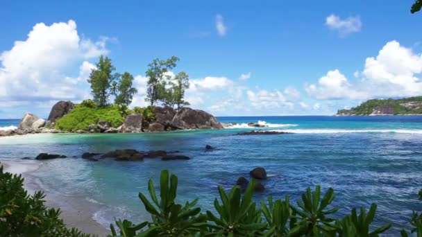 Costa de seychelles naturales — Vídeo de stock