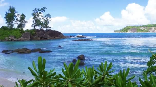 Přírodní pobřeží Seychel — Stock video