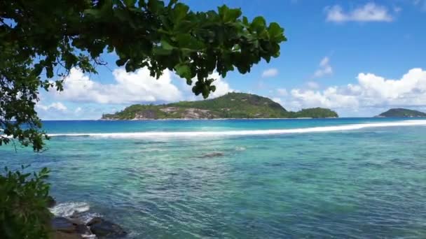 Costa de seychelles naturales — Vídeo de stock