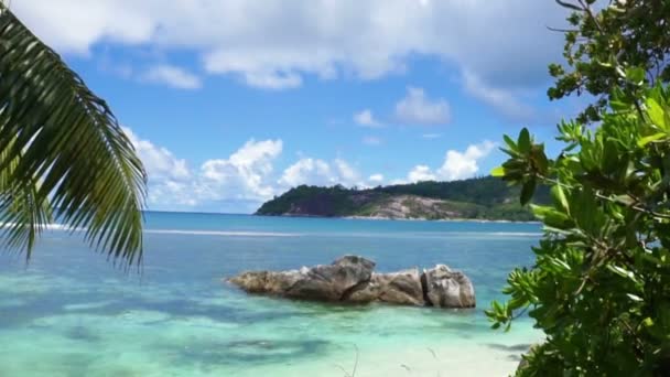 Natuurlijke kust van de Seychellen — Stockvideo