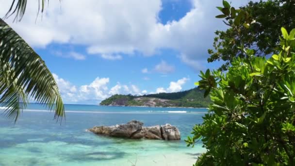 Costa de seychelles naturales — Vídeos de Stock