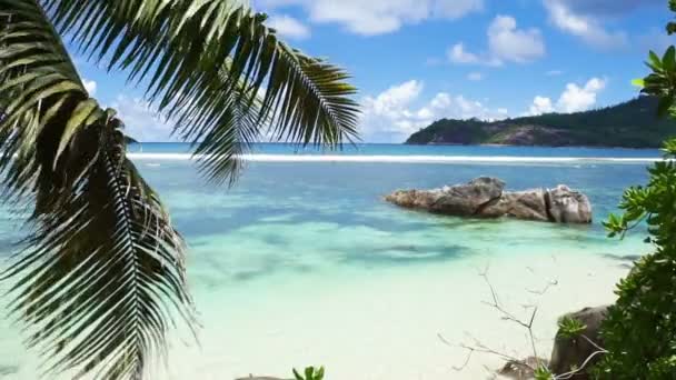 Natuurlijke kust van de Seychellen — Stockvideo