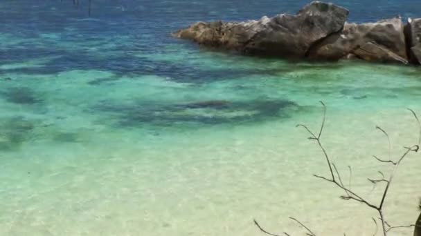 Natürliche Küste der Seychellen — Stockvideo