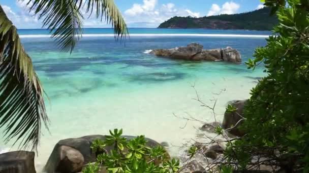 Přírodní pobřeží Seychel — Stock video