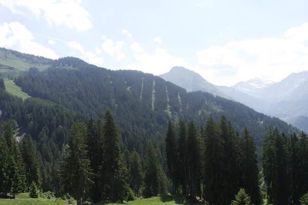 Góry Bregenz — Zdjęcie stockowe