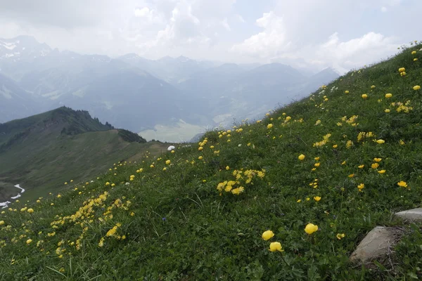 Montagne di bregenz — Foto Stock