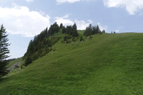 Montanhas de bregenz — Fotografia de Stock