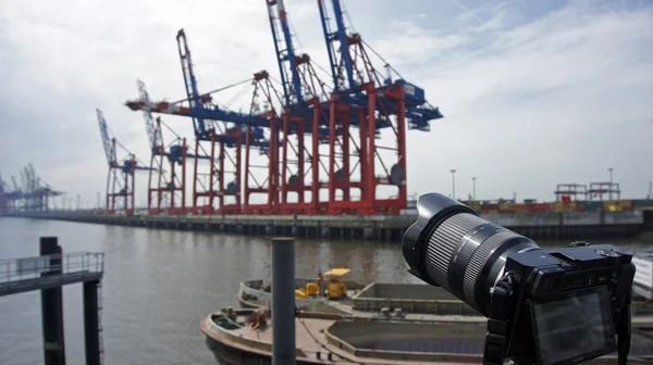 Terminal de contentores — Fotografia de Stock