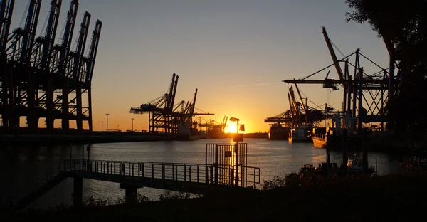 Terminal de contenedores — Foto de Stock