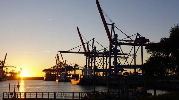 Terminal de contenedores — Foto de Stock