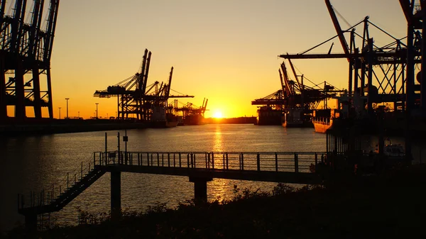 Container terminal — Stock Photo, Image