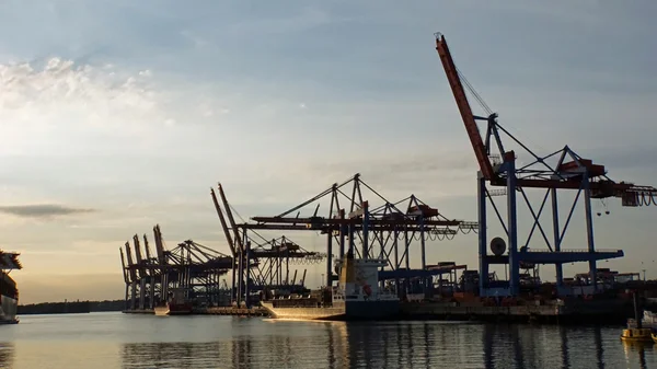 Terminal de contenedores — Foto de Stock