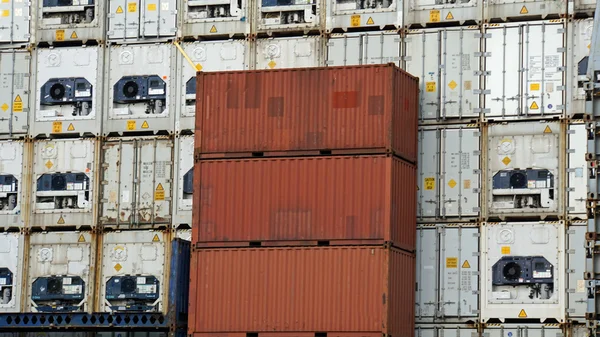 Container — Stock Photo, Image