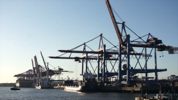 Hamburský přístav při západu slunce — Stock video