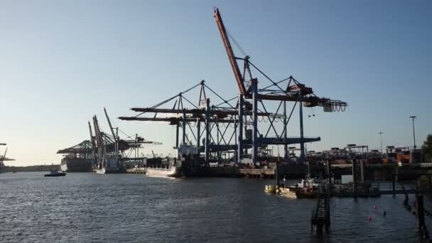 Puerto de Hamburgo al atardecer — Vídeos de Stock