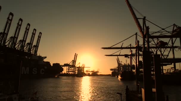 Porto de hamburgo ao pôr-do-sol — Vídeo de Stock