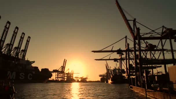 Porto de hamburgo ao pôr-do-sol — Vídeo de Stock