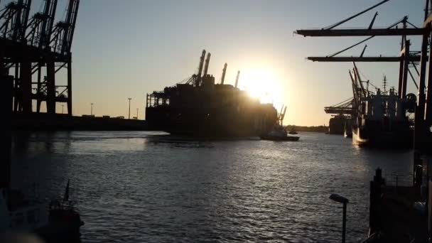 Hamburgs hamn vid solnedgången — Stockvideo