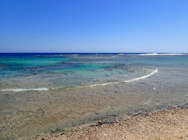 Kumsal, Mısır 'da berrak, sığ resif suyuyla buluşuyor.