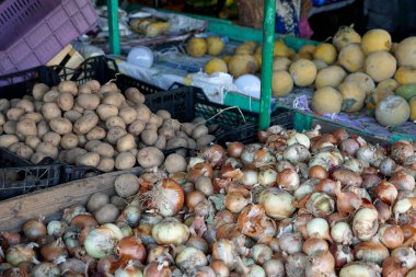 Mısır 'daki bedevi pazarında taze sebzeler