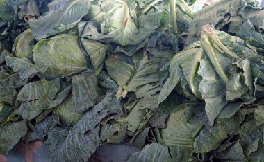 Mısır 'daki bedevi pazarında taze sebzeler