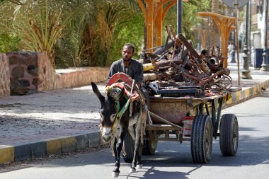 El Kureyir, Mısır - 10 Ekim 2025: Geleneksel Eşek Arabası Sokaklarda