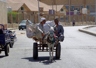 El Kureyir, Mısır - 10 Ekim 2025: Geleneksel Eşek Arabası Sokaklarda