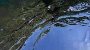 Kızıl denizdeki renkli resiflerde şnorkelle yüzmek