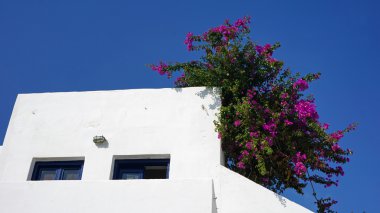 Kamari santorini adasında geleneksel Yunanistan evler