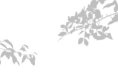 Beyaz doku arka planında yaprağın gölgesi var. Yaprak sunumunun gölgesi ile dekoratif ürün için kullan.