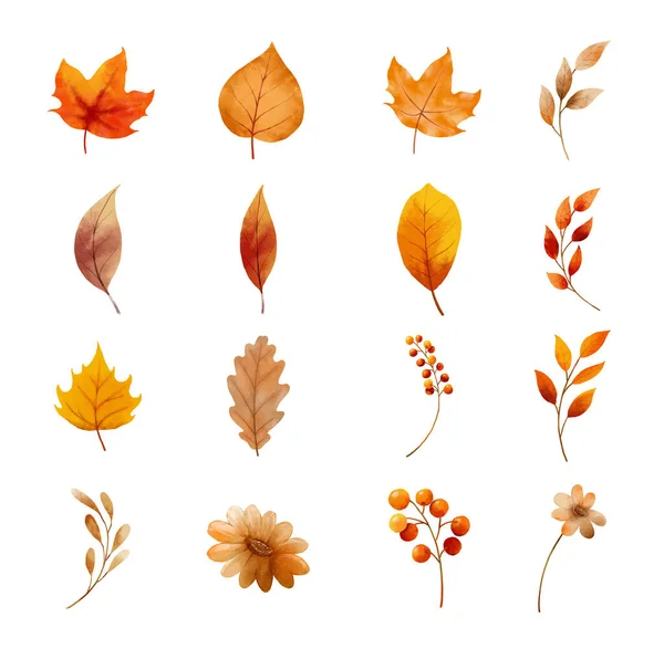 Feuilles Fleurs Automne Isolées Sur Fond Blanc Feuille Avec Style — Image vectorielle