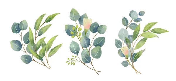 Eucalyptus Lämnar Bukett Akvarell Stil Blommor Och Blad Buketter Arrangemang — Stock vektor