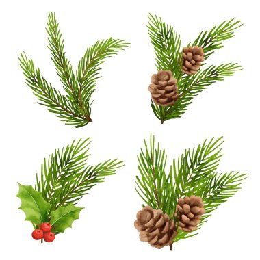 Noel süslemeleri suluboya stili. Holly Berry, köknar, dal, kozalak, ladin, beyaz arka planda izole edilmiş..