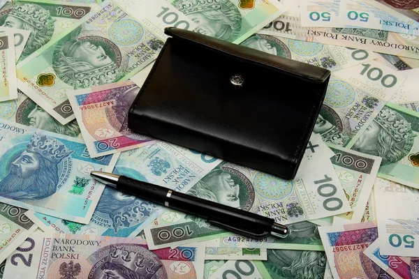Gehalt für polnisches Geld — Stockfoto
