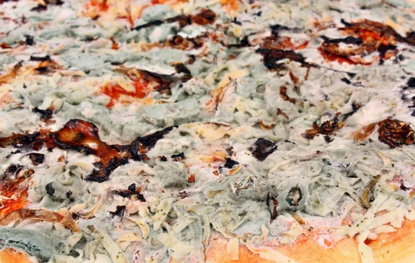 Régi penészes pizza — Stock Fotó