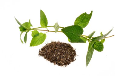 Nane mentha pulegium