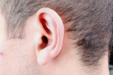 İnsan saçı grev kırıcı