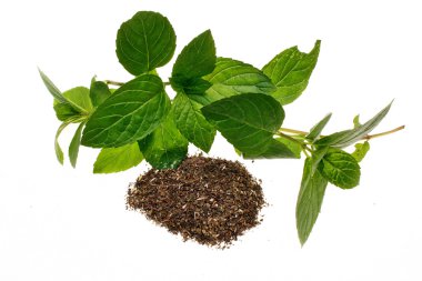 Nane mentha pulegium