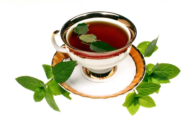 Chá de hortelã mentha pulegium — Fotografia de Stock
