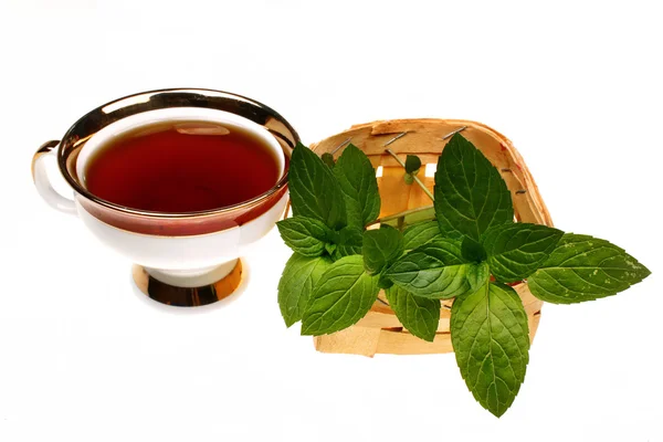 Chá de hortelã mentha pulegium — Fotografia de Stock