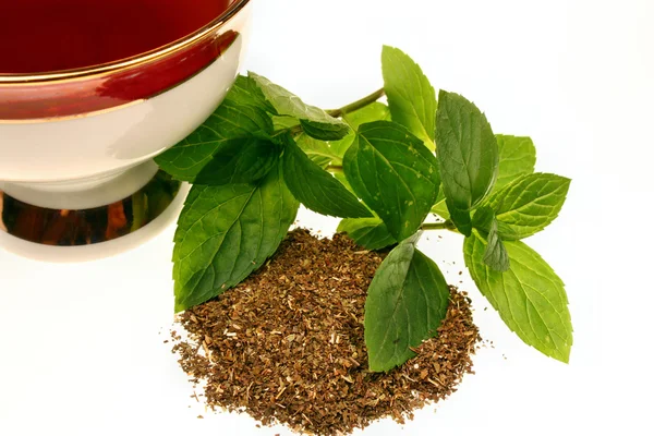 Μέντα mentha pulegium τσάι — Φωτογραφία Αρχείου