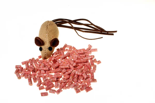Roedores venenosos y un ratón aislados —  Fotos de Stock